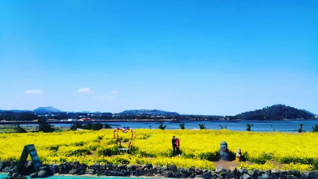 Seongsan Ilchulbong Pension Jeju Luaran gambar